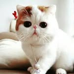 BaBe熊 - @sandy_friends - Instagram
