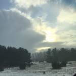 Sandy friend - @sfriend5656 - Instagram