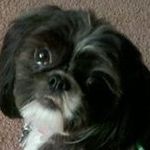 Sandy Frink Gulino - @frinkgulino - Instagram