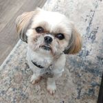 Sandy Frink Gulino - @sandyfrinkgulino - Instagram