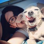 Sandy Fuchs - @110fuchs - Instagram