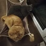 Sandy Fuchs - @fuchs1381 - Instagram