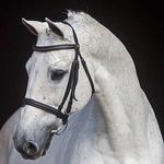 Sandra Fullerton - @fullerton2741 - Instagram