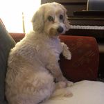 Sandra Fullerton - @sandrafullerton1502 - Instagram
