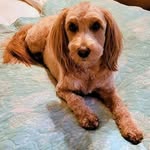 Sandra Hansen Fullerton - @fullertonsandy - Instagram