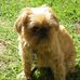 Sandy Fullerton - Facebook