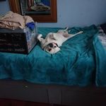 sandy gale - @sandragale812 - Instagram