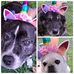 Sandy Gale - Facebook