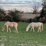 Sandy Gale Edmundson - @gaitedsandygale - Instagram