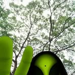 Sandy Gan - Facebook