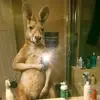 Sandy Gante Pérez ㊙️ - @sandy.gante.perez - TikTok