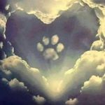 Sandy Gantner - @sandygantner - Instagram