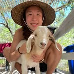 Sandra Gao - @sandra_gao - Instagram