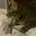 Sandy Gao - Facebook
