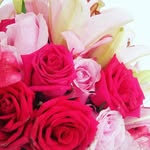 Sandy _ Garden - @sandy_garden_ - Instagram