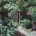 Sandy Hill Garden - @sandy_hill_garden - Instagram