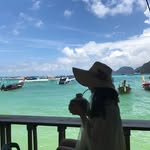 Sandygarden - @sandygarden5 - Instagram