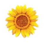 Sandy's Garden Center - @sandysgardencenter - Instagram