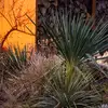 thesandygarden - @thesandygarden - TikTok