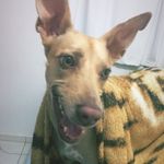 Sandy_e_garfield - @sandy_e_garfield - Instagram