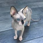 Sandra Parenzin-Garrison - @sandygarrison - Instagram