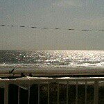 Sandy Garrison - @beach_mommyroc - Instagram