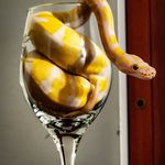 Sandy Garrison - @skruppenbacher63 - Instagram