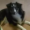 sandygarrison1 - @sandygarrison1 - TikTok