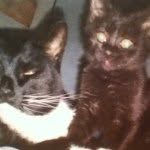 ❤😸SANDY&GARY😸❤ - @sandy_gary - Instagram