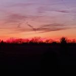 Sandy Gaston Freundt - @safreu01 - Instagram