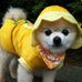 Sandy  Gau - Facebook