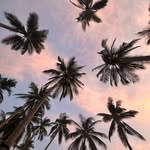 Sandy Geary - @sandy.g5 - Instagram
