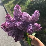 Sandy Gilbreath - @professorgilbreath - Instagram