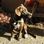 Sandy Giles - @sandy.giles62 - Instagram