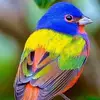 Sandy Giles - @sandy.giles - TikTok