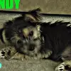 sandygiles230 - @sandygiles230 - TikTok