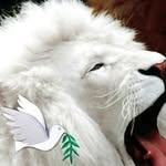 Sandy Gillespie - @sandy6309 - Instagram