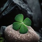 Sandy Gilliam - @sandy_gilliam48 - Instagram