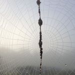 Sandy Gilliam - @skgillia_domain_ranger - Instagram
