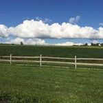 Sandra Glickman - @sandyglickman5 - Instagram