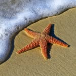 Sandy Glover - @bluelinenotary - Instagram