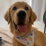 Sandy Beatriz Leah - Goldinha - @sandy_goldinha - Instagram