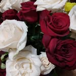 Sandra Goldman Voyles - @sanshine.64 - Instagram