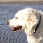 Sandy Kreps Goldman - @sandygoldman15 - Instagram