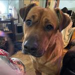 Sandy Gordon - @sandy5398 - Instagram