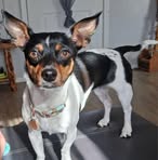 Sandy Greer - Facebook