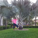 Sandy Greer - @sandy.greer.568 - Instagram