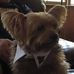 Sandy Grimes - Facebook