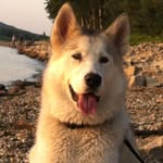 Sandy Grimm - @sandy.grimm.798 - Instagram