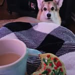 Sandy Grimme - @sandygrimme - Instagram